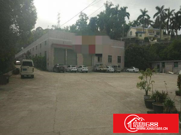 龙岗五联新出原房东独院钢构2000平高6米