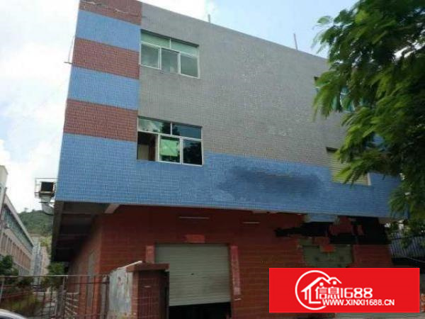 出租龙岗区横岗沙荷路边厂房