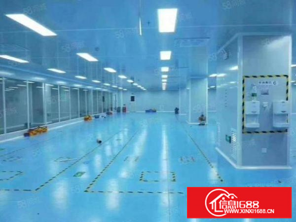 十万级无尘车间容桂标准3000方厂房出租