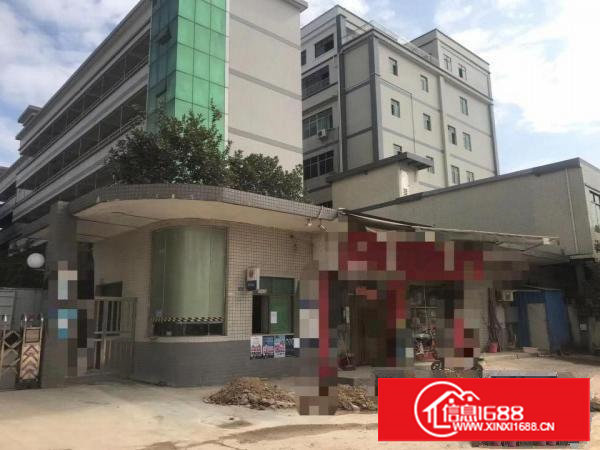 塘厦靠近深圳附近精品独院证件齐全带红本现成精装修