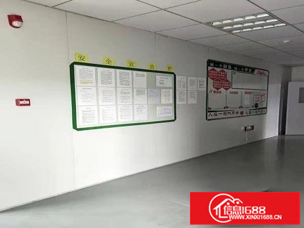 石井金田路边上新出一楼320平带行车实际面积出租