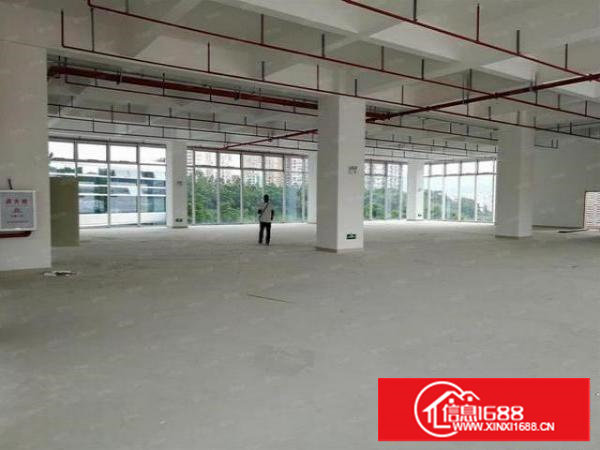 长安厦边独栋厂房700平出租原房东有红本