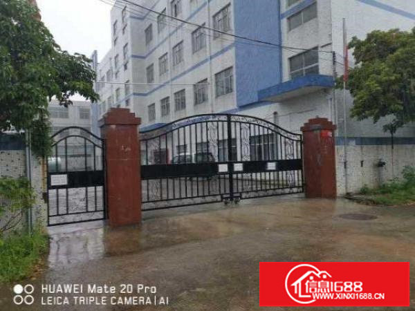 出租坑梓沙田社区独院