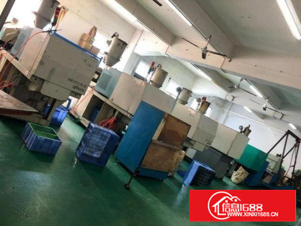 东莞塘厦龙背岭厂房转租，