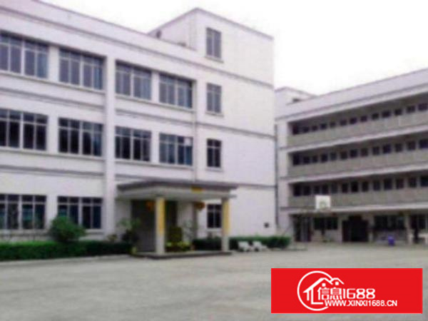 万江工业区标准厂房分租楼上2、3楼1000平适合贸易仓储