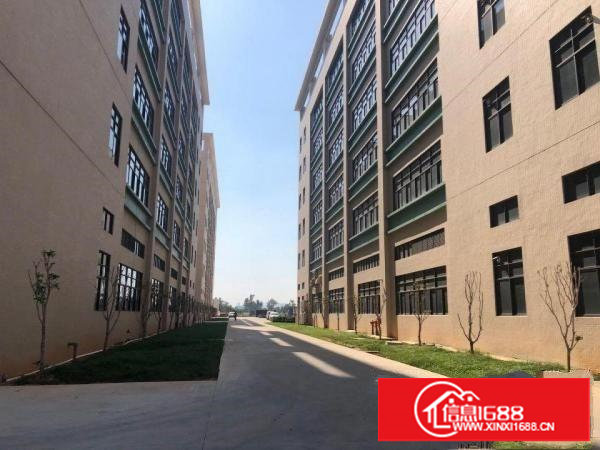 塘厦科苑城一手房东红本工业区5万平厂房出租500平起租合租