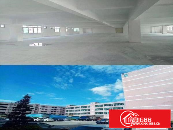 出租高埗镇高埗城区厂房（物业直招，规范管理）