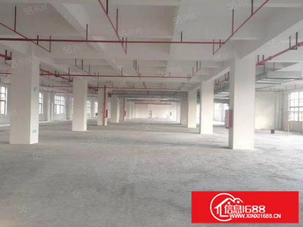 （实图）独院原房东花园式厂房，公摊小，实用率高