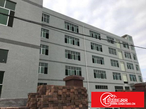 坪山原房东小独院带红本900平有装修