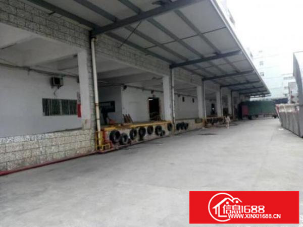 坪山大型物流园17000平，可分租