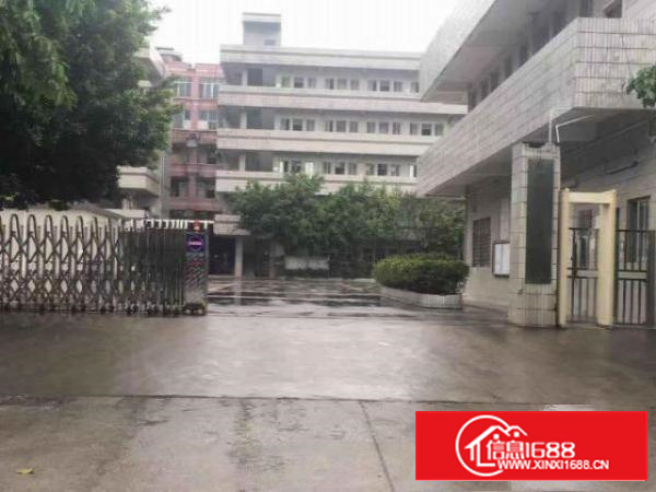 万江黄粘洲中心分租一楼800平位置好易招工交通便利招租