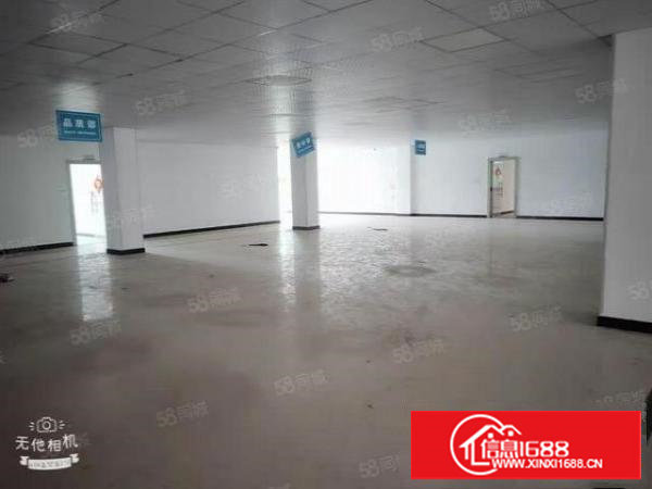 长安新出独院厂房5000平