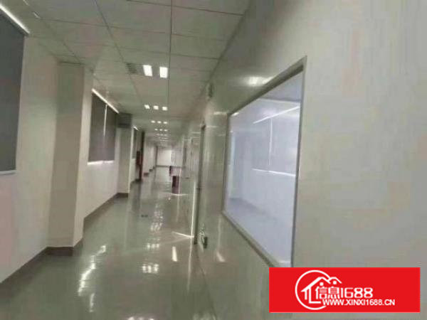 沙井独门独院厂房大马路边上