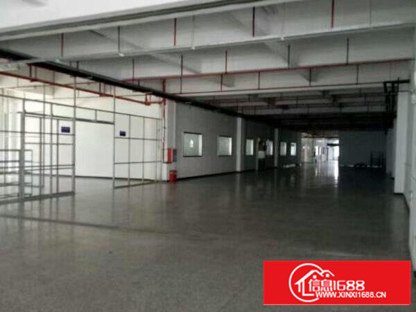 高埗1出租5001500、2000平方出租配电按需，