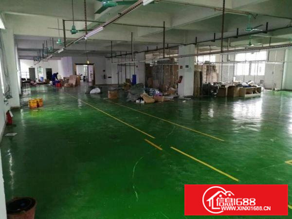 清溪罗马三楼厂房1300平带喷油设备喷油行业优先驻入工业园