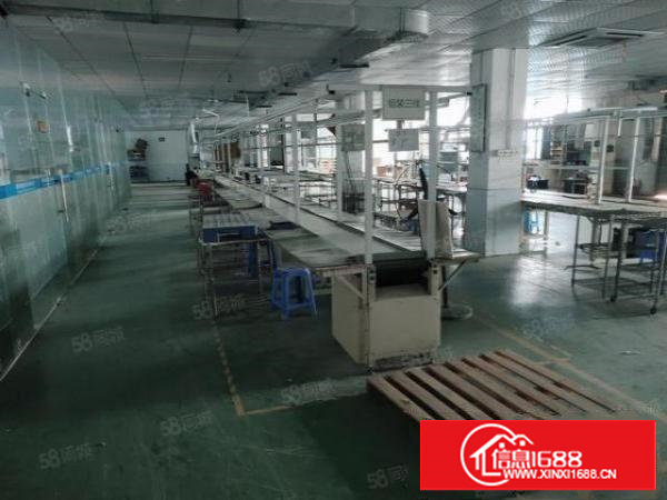 樟木头全新一楼5.5米高厂房720平米出租