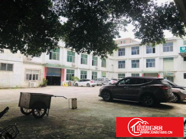 深坑工业区一楼450平实量面积标准厂房出租