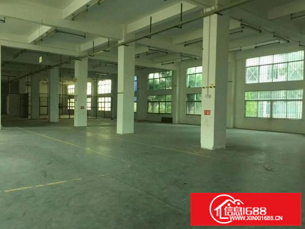 平湖富民工业区独院5000平方厂房出租