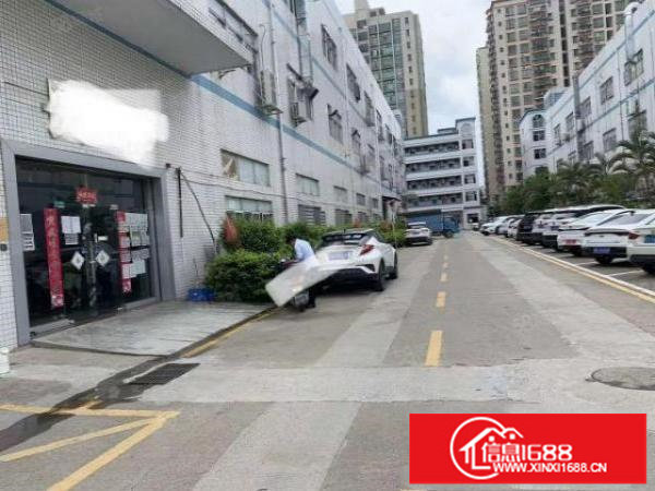 和平一楼2200平方6.3米高有牛腿有办公室洗手间