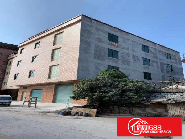 四层全新（电梯）独院厂房