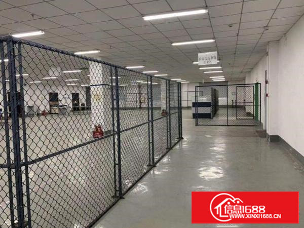 街口新安新出楼上整层2000方无公摊车位足