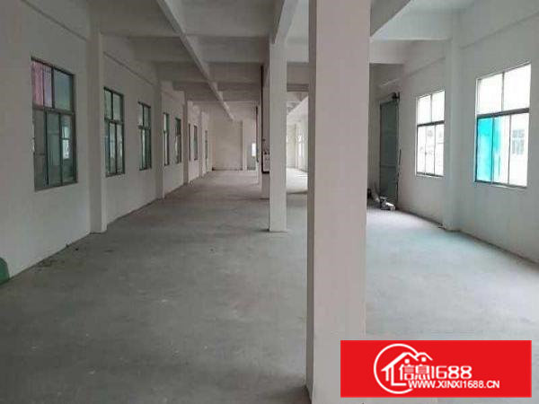 出租常平镇万布路4000平