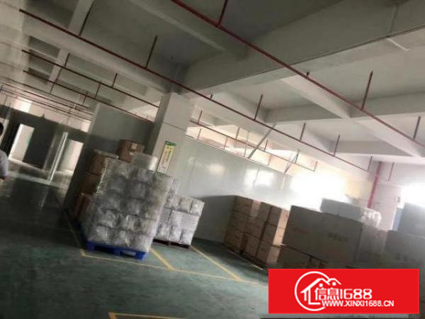 横沥镇360平厂房出租环境优越交通便利价格优惠