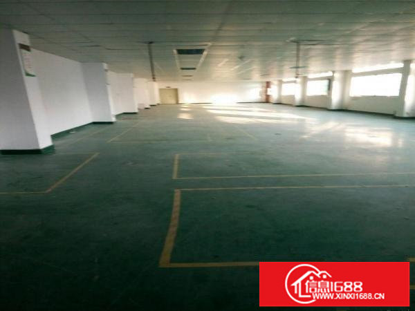 观澜樟坑径上围园区独栋5400平米出租