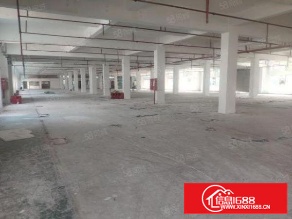 西乡九围4000平厂房出租空地超大