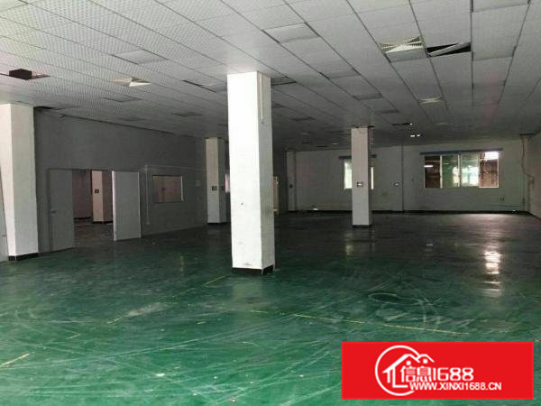 横沥镇新出带现成装修厂房招租1000平方