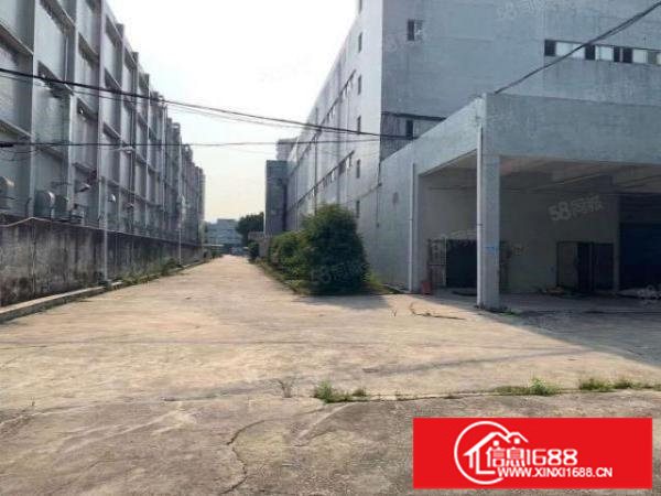 布吉早禾坑12000平方红本厂房出租，电梯