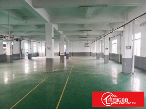 随时交付！坂田云里智能园楼上680平厂房便宜出租，有地坪漆。