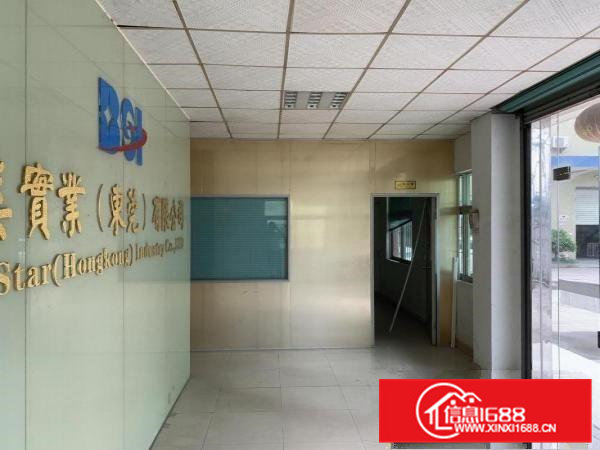 大朗大井头新出原房东标准独院3520平方带现成精装修办公室