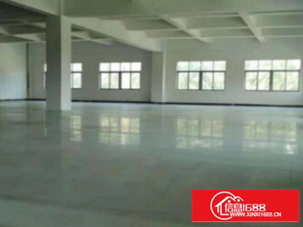 万江简沙洲新出独门独院标准厂房1-3层6600平方出租