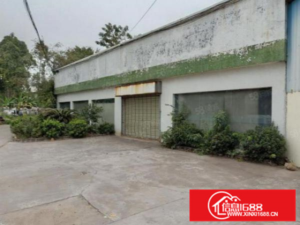 房东急租）有证，均安带航吊5600方星棚，电大，可办环评！