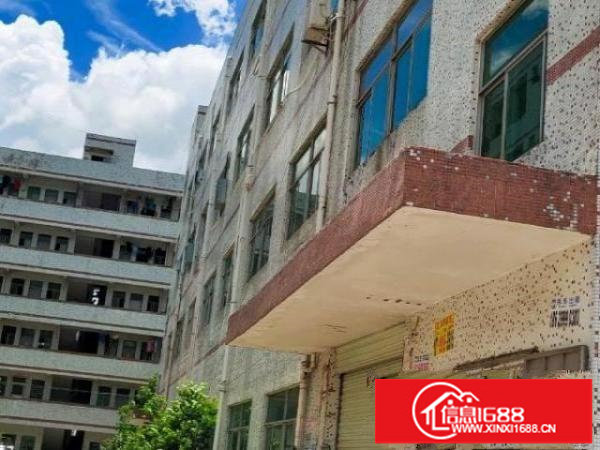 坪地鹤坑自然之家工业园厂房出租