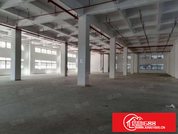 7米高凤岗金凤凰一楼厂房出租3200平厂房方正可以分租