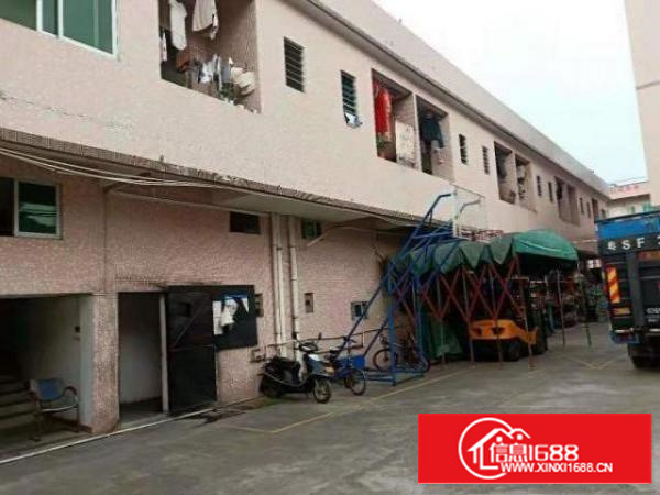 万江客运总站高埗大量标准厂房道滘单层一楼小型仓库招出租