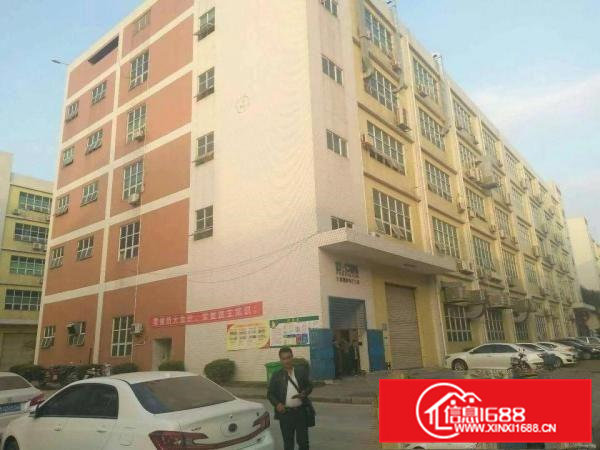 精装修，虎门南栅新出楼上厂房1800平