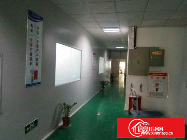 平湖辅城坳标准厂房一楼1300平出租原房东