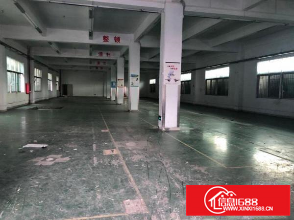 坂田光雅园路标准厂房一楼1430平方厂房出租