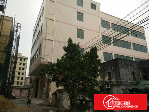 惠阳秋长新塘全新标准厂房二楼680平米招租