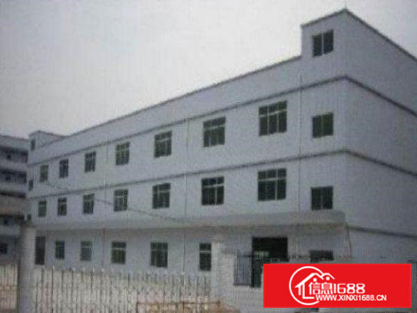 高埗带现成装修标准一楼800或1500平方招租办公室装修，现