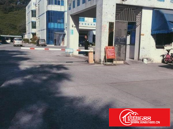 （非中介）樟木头新出800平厂房带装修带电梯场地宽好进货车