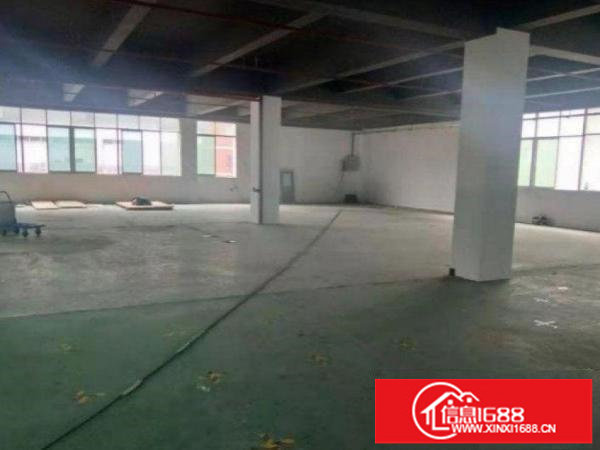 潭头西部工业区一楼1600平，村委厂房，可分租