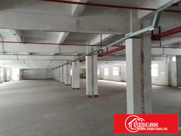 谢岗二楼1470平方带消防喷淋厂房出租啦