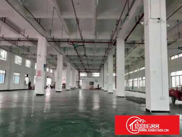 北滘标准一楼招租1450方空地大独门独院能过环评B