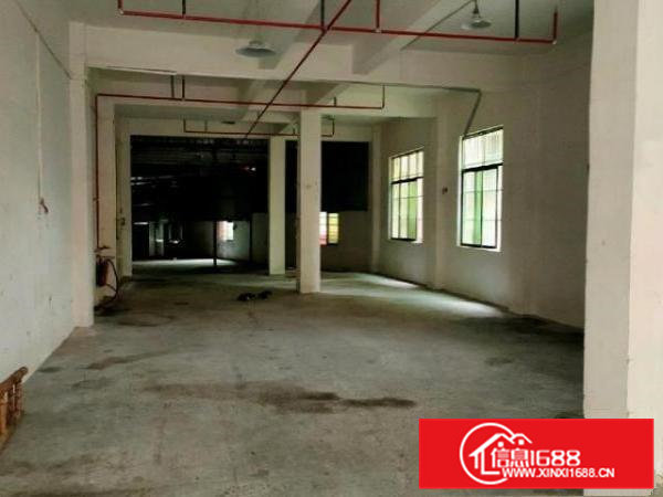 是在一楼路宽6m方便上下货，适合加工小作坊仓库