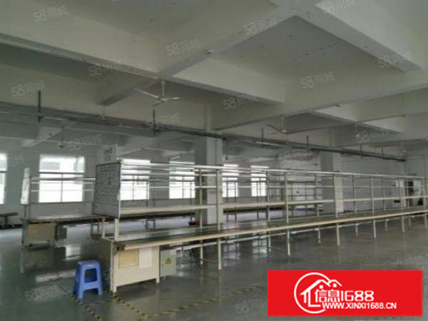 六约花园式独院厂房11300平米，可分租