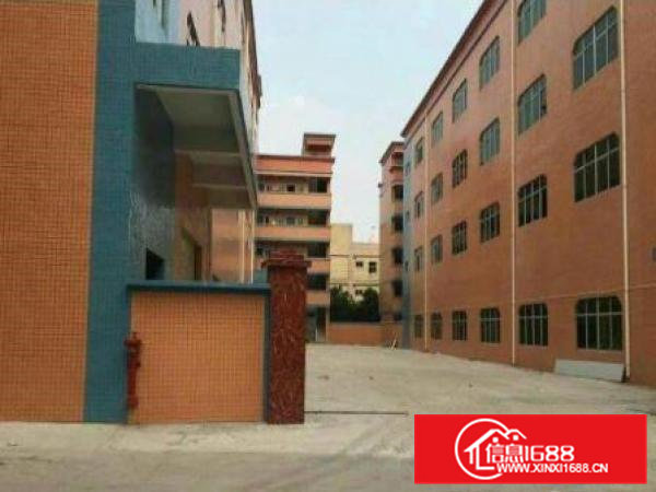 横沥长巷楼上800平环境优美火热招租